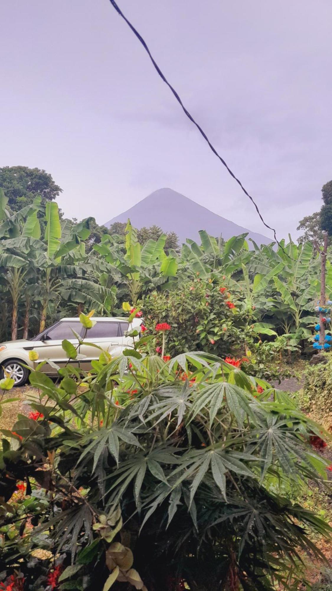 Hospedaje Bananas Altagracia Exterior photo
