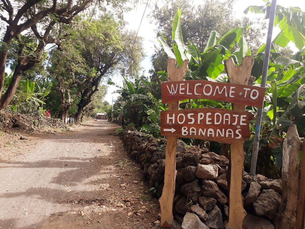Hospedaje Bananas Altagracia Exterior photo