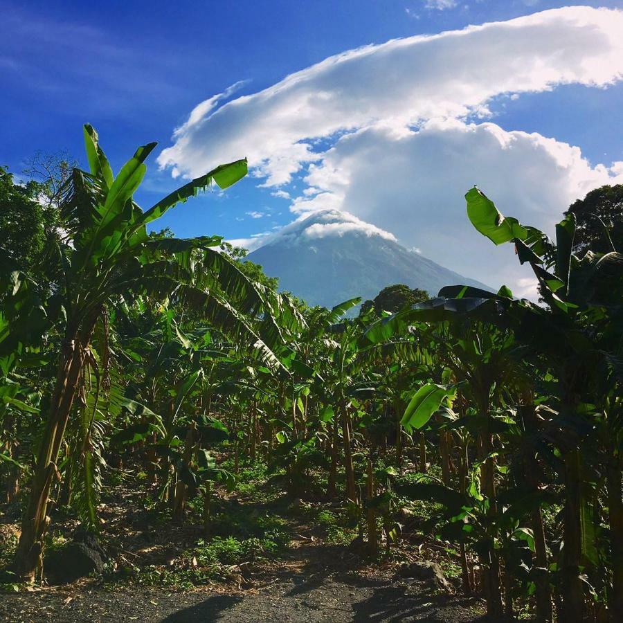 Hospedaje Bananas Altagracia Room photo
